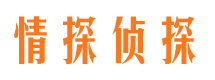 镇雄侦探公司